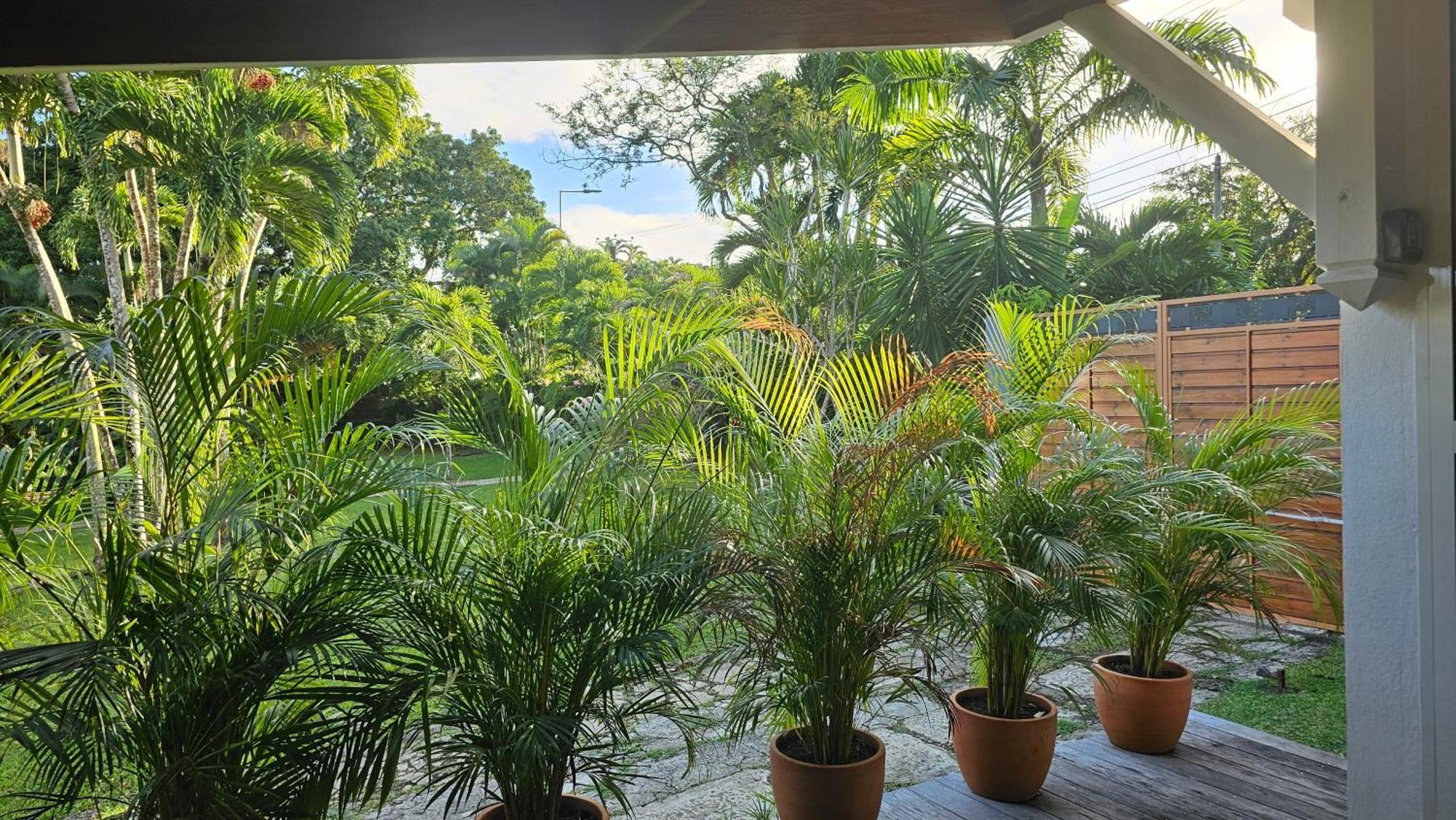 Habitation Villa Les Cassias เปอตีต์-บูร์ก ภายนอก รูปภาพ
