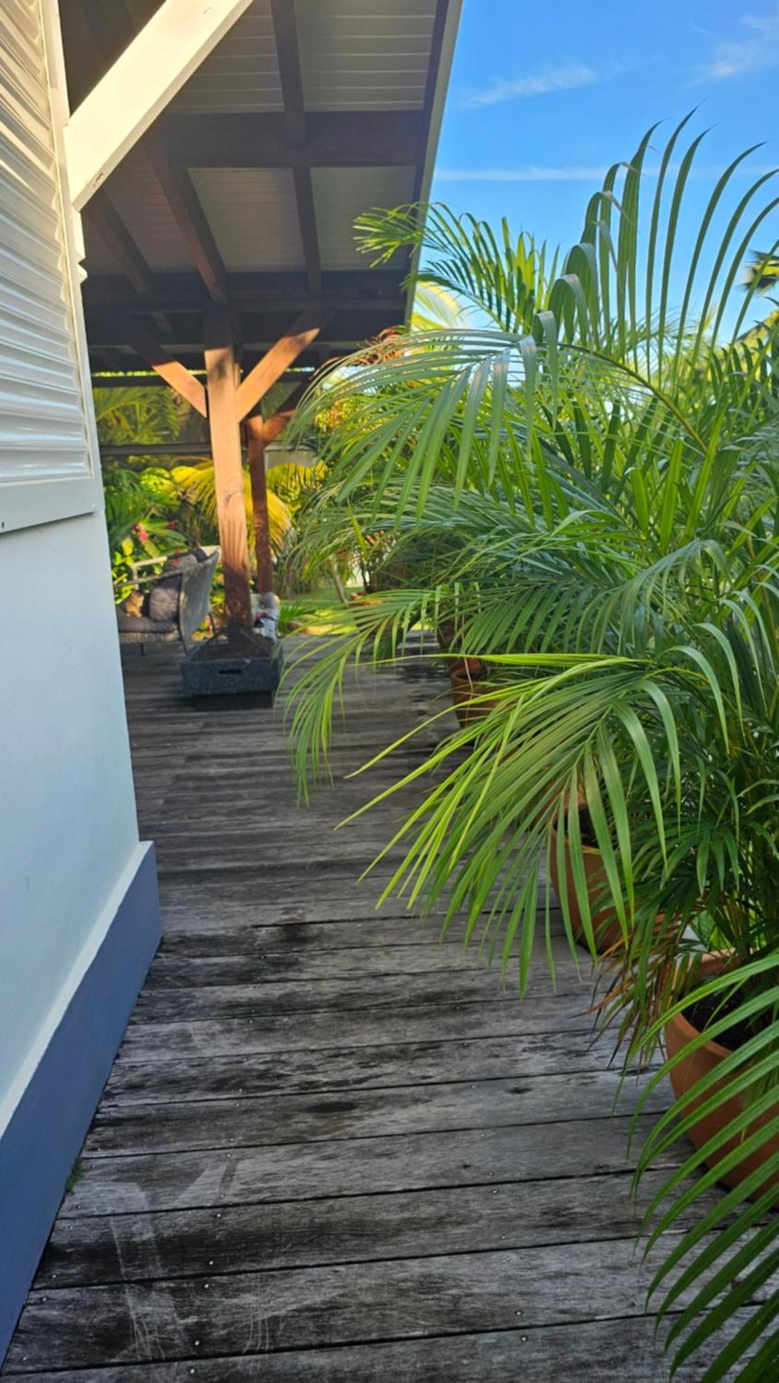 Habitation Villa Les Cassias เปอตีต์-บูร์ก ภายนอก รูปภาพ