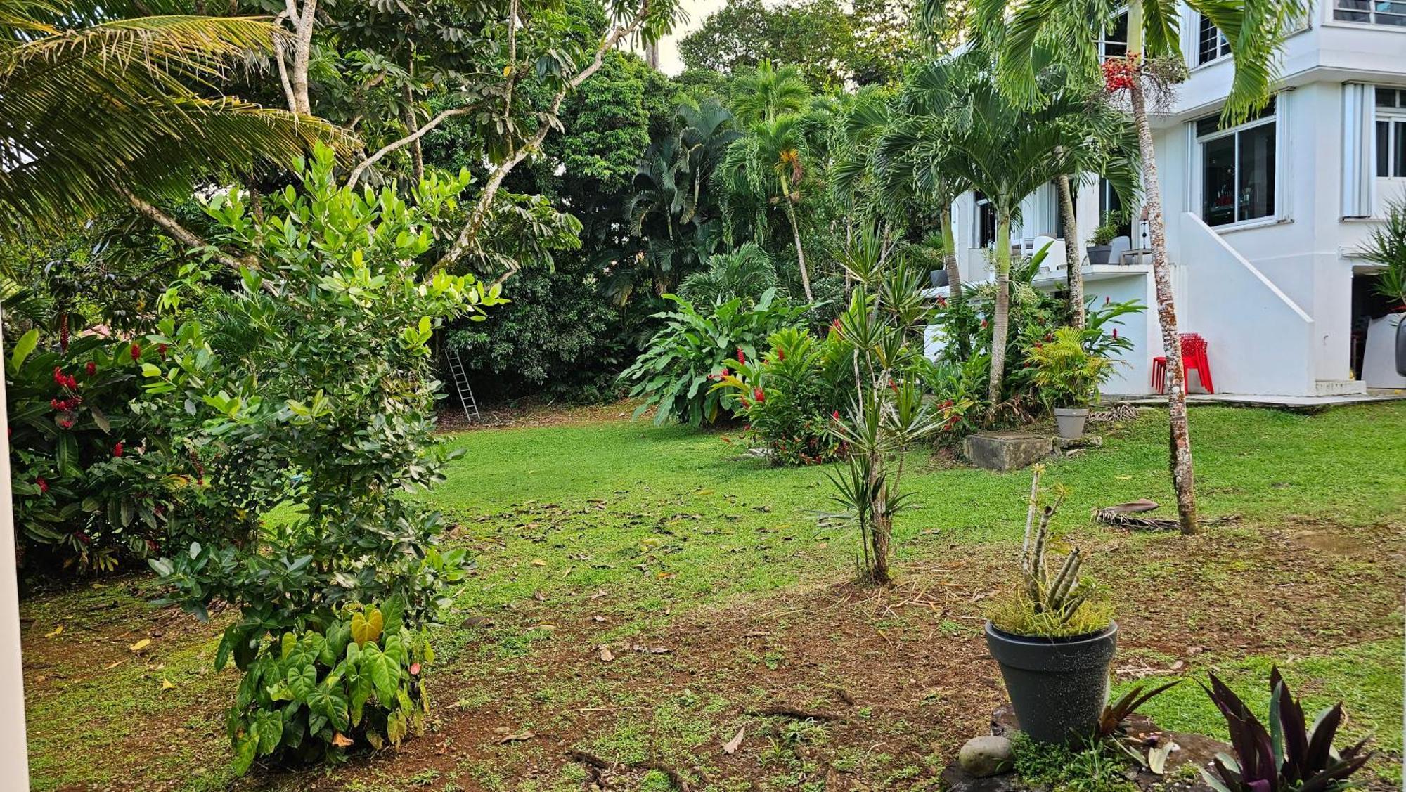 Habitation Villa Les Cassias เปอตีต์-บูร์ก ภายนอก รูปภาพ
